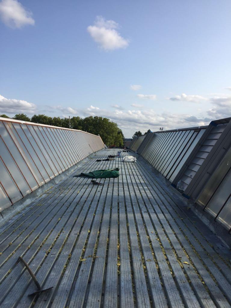 WhatsApp Image 2023-12-13 at 18.27.00 (3)