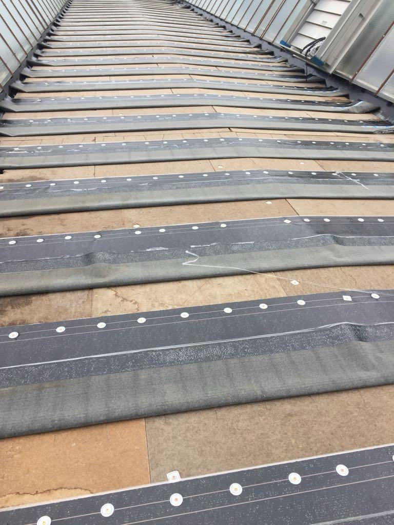 WhatsApp Image 2023-12-13 at 18.27.00 (4)