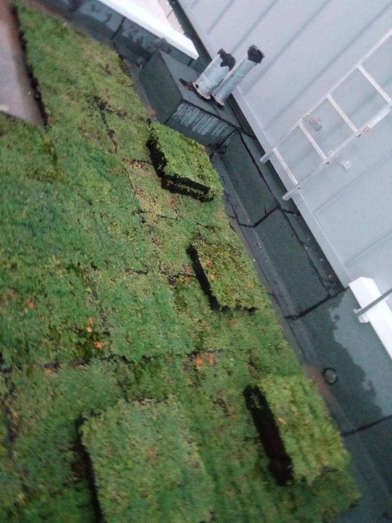 WhatsApp Image 2023-12-13 at 18.35.02 (5)