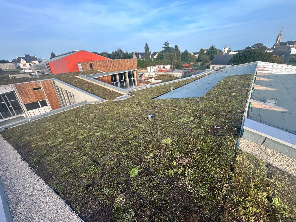 WhatsApp Image 2023-12-13 at 18.37.21 (5)